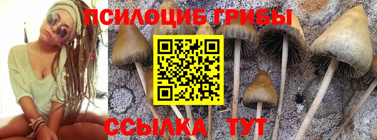 Галлюциногенные грибы мицелий Гагарин